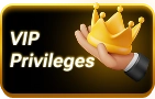 VIP Privileges